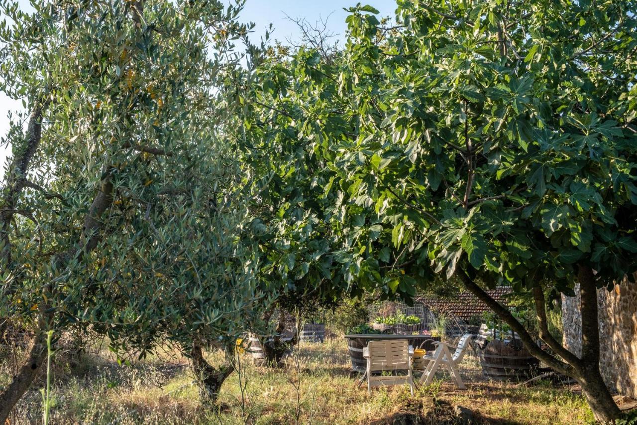 Podere Pruneto Radda in Chianti Exteriör bild