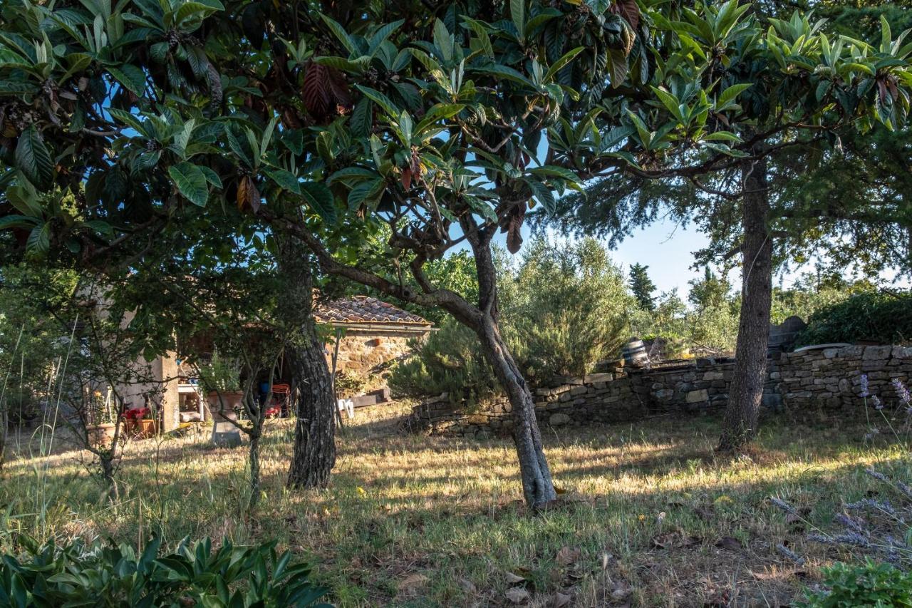 Podere Pruneto Radda in Chianti Exteriör bild